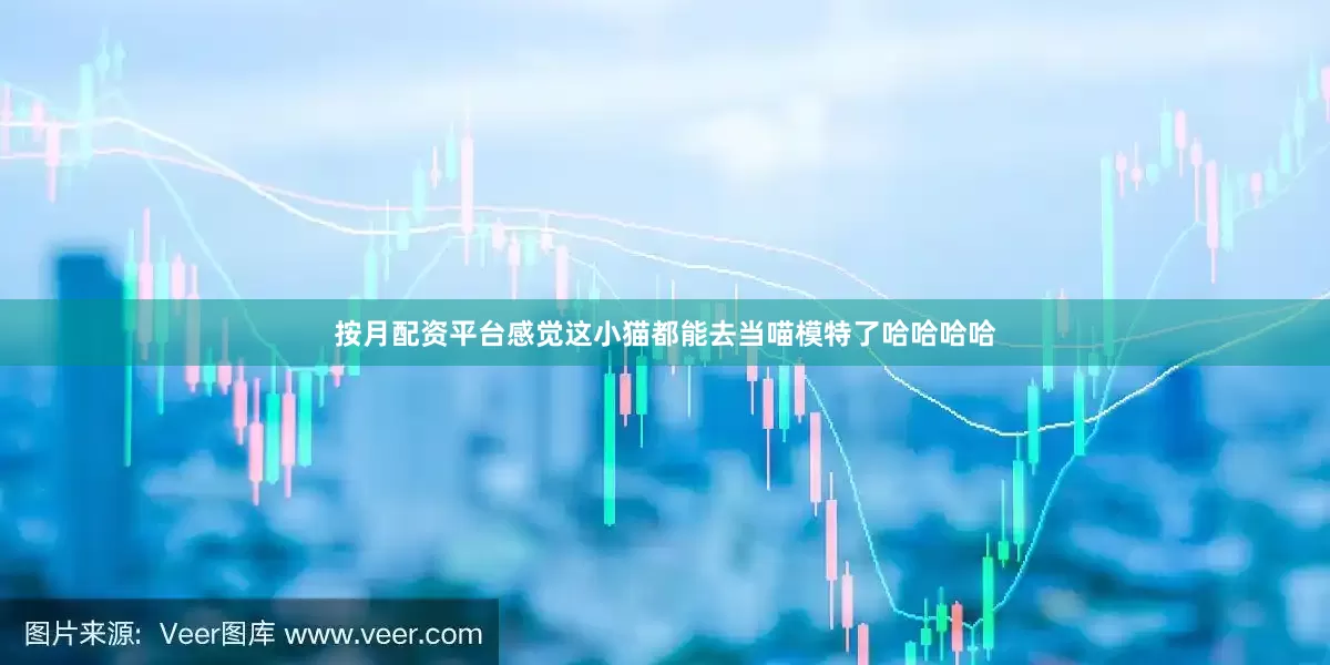 按月配资平台感觉这小猫都能去当喵模特了哈哈哈哈
