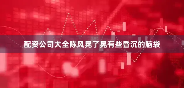 配资公司大全陈风晃了晃有些昏沉的脑袋