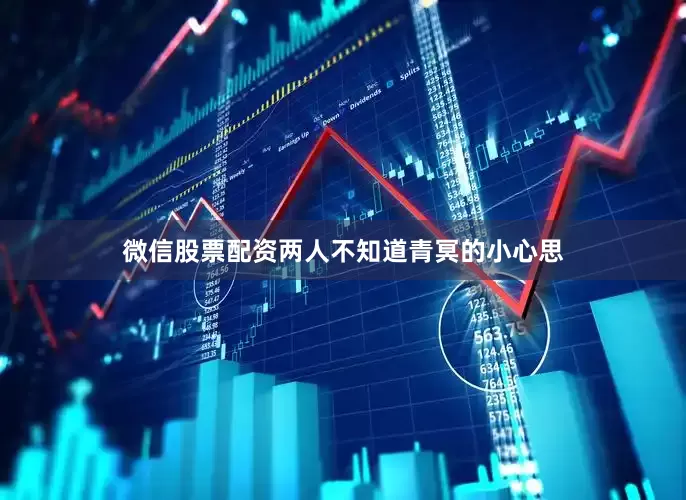 微信股票配资两人不知道青冥的小心思