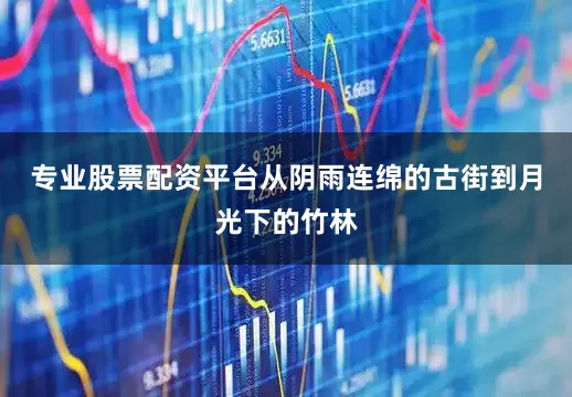 专业股票配资平台从阴雨连绵的古街到月光下的竹林