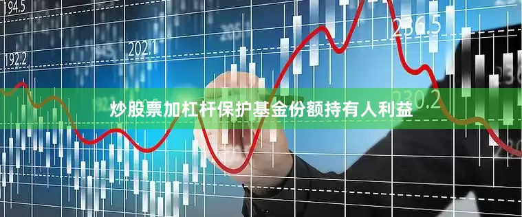 炒股票加杠杆保护基金份额持有人利益