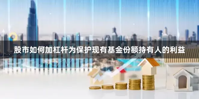 股市如何加杠杆为保护现有基金份额持有人的利益